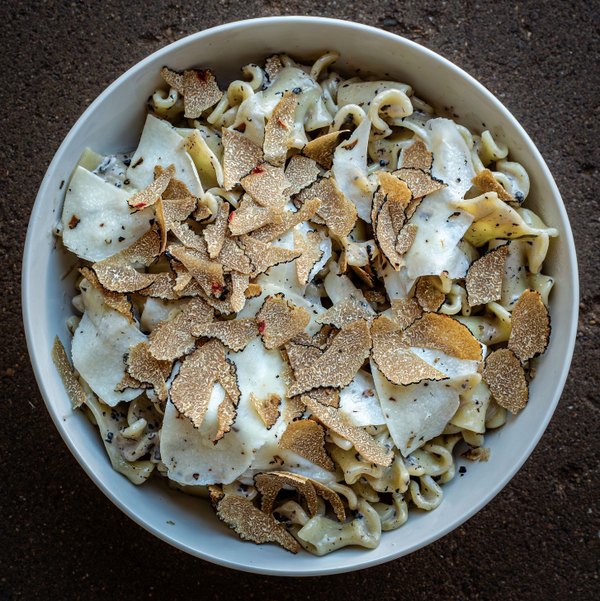 Creamy Black Burgundy Truffle Pasta