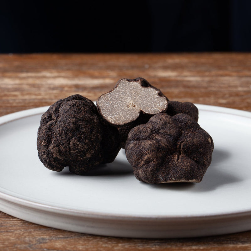Perigord Black Truffle