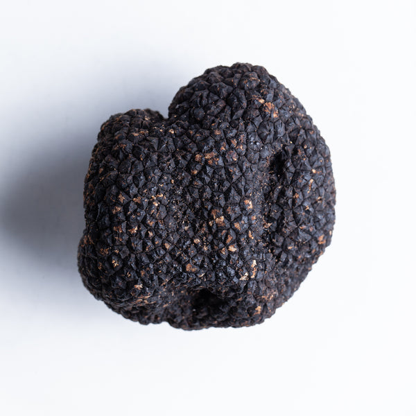 Black Burgundy Truffles