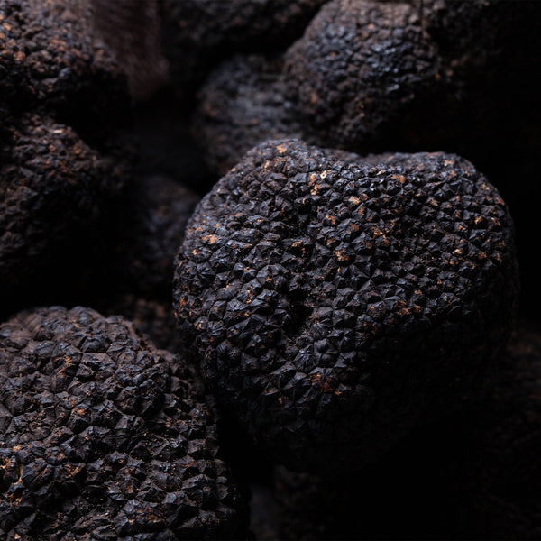 Black Burgundy Truffles